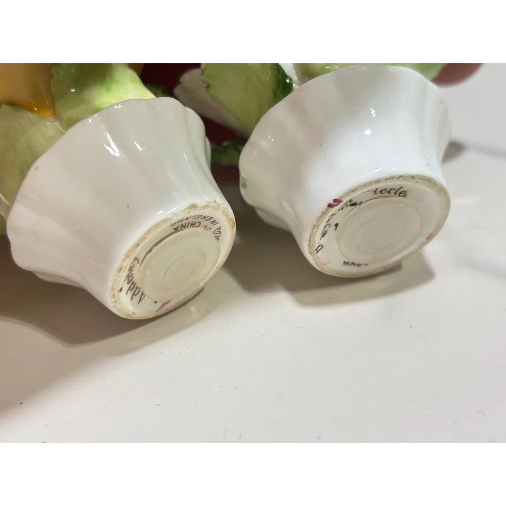 Royal Adderley Bone China Flower Salt and Pepper Shakers Pink Yellow England